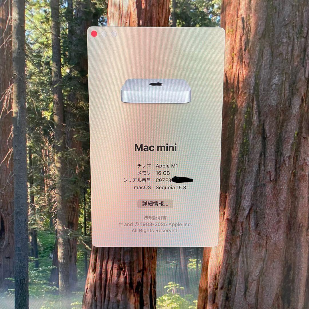 Macデスクトップ M1 Mac mini 2020 16GB/1TB