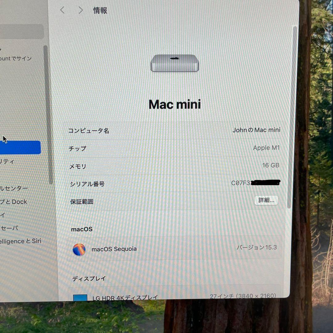 Macデスクトップ M1 Mac mini 2020 16GB/1TB