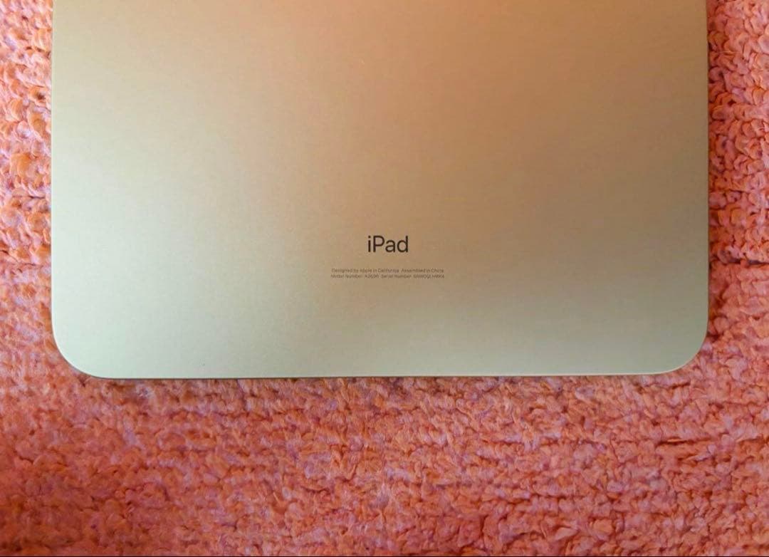 iPad 第10世代 64GB Wi-Fi Apple 新品フィルム&ケース付き