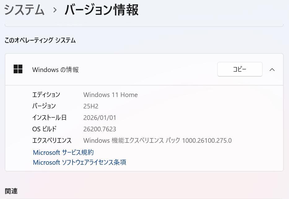 Windowsノート本体 Lenovo ThinkPad T490 i7-10510U 24GB
