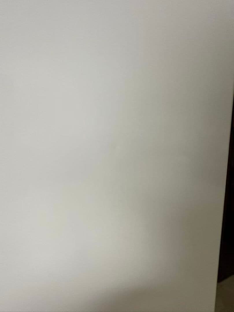 TAKE2GOOD　アイリスオーヤマ IUSN-S12A-W 2024年製