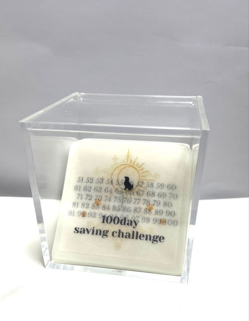 新作＊100日リフィル＊犬＊太陽＊貯金＊ saving＊韓国＊BOX付き