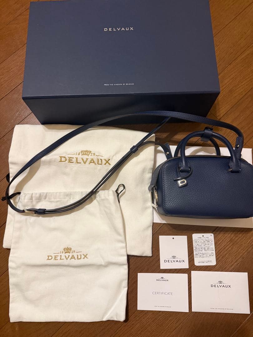 タイムセール！！【美品】DELVAUX クールボックス ナノ デルヴォー