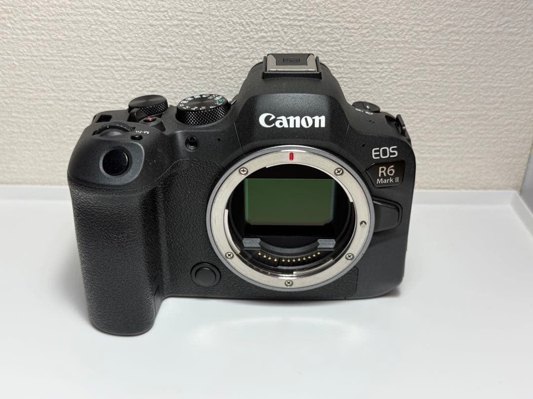【美品】 EOS R6 Mark II レンズキット(保証書付き)
