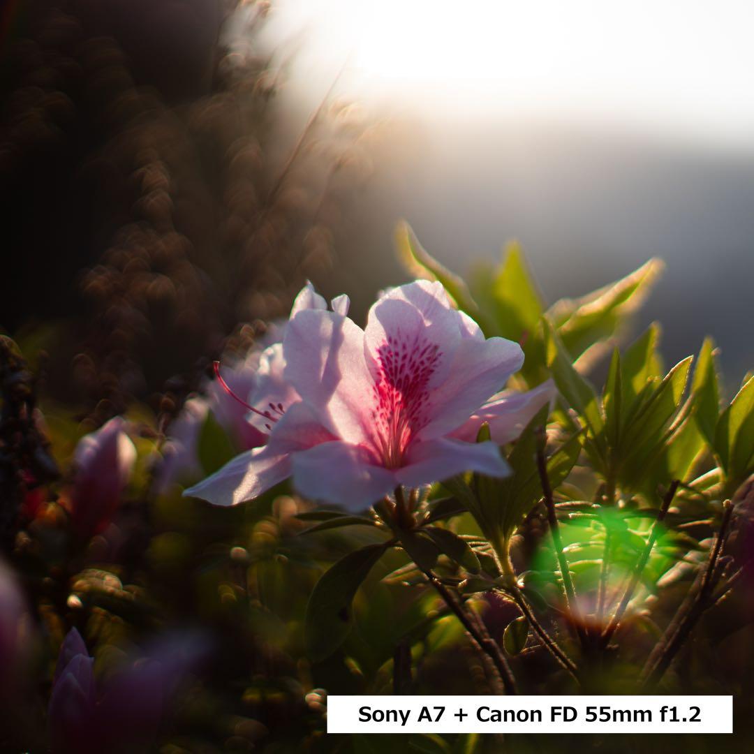 フィルムカメラ Canon FD 55mm 1:1.2 + FD28mm F2.8 S.C.