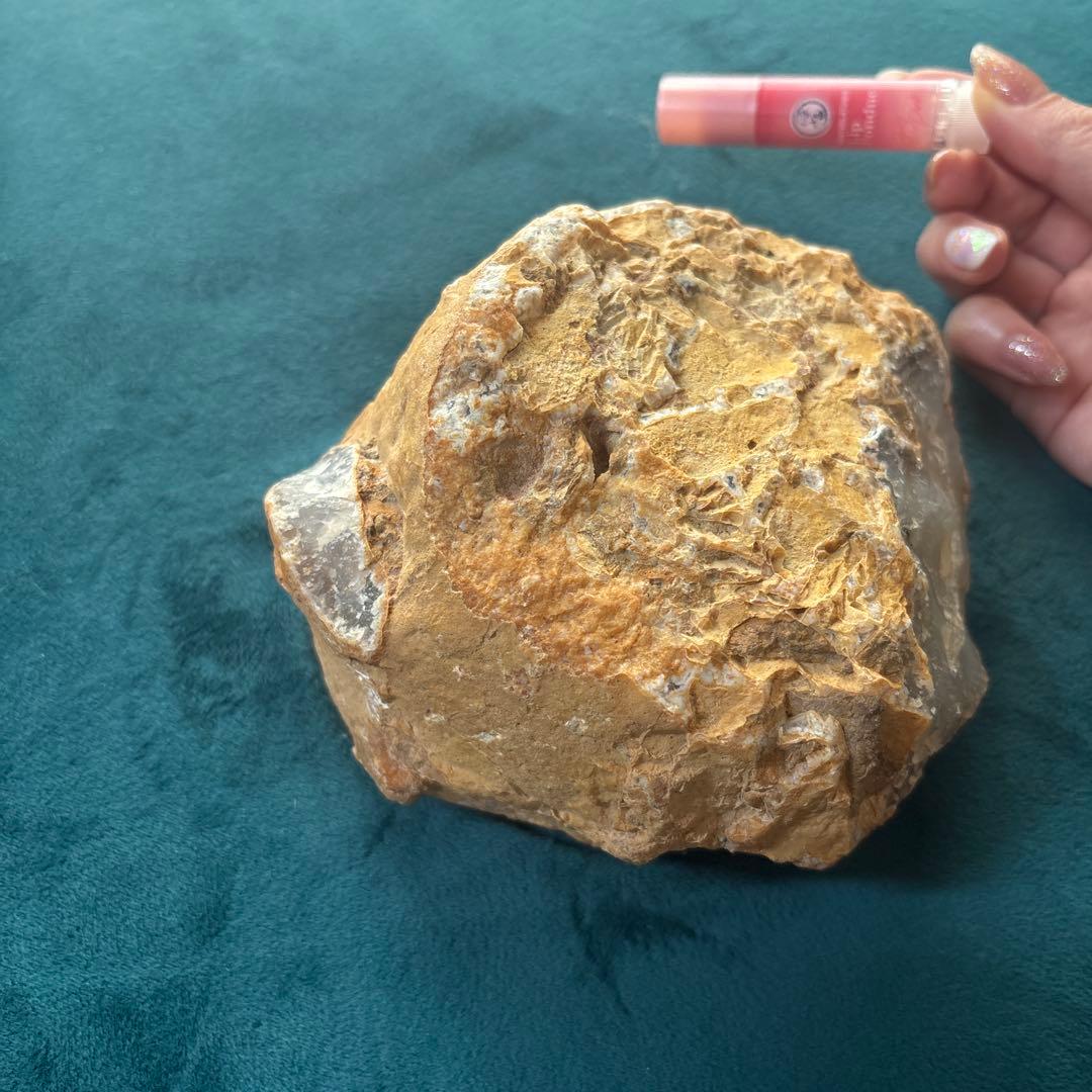 BIG 命根石　　水入りメノウ　歴史あるパワーストーン