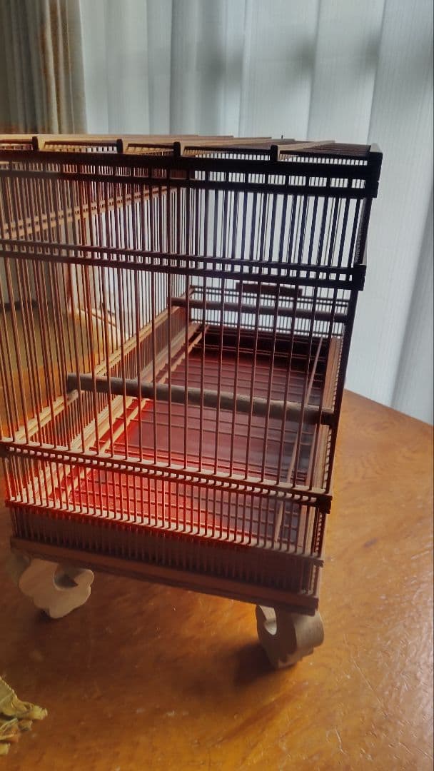 メジロ、ウグイス和鳥籠