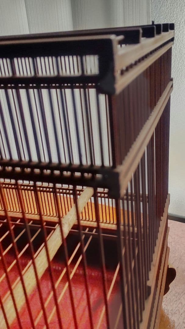 メジロ、ウグイス和鳥籠