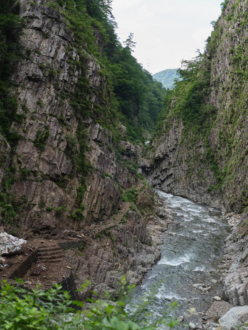 【美品】Mamiya Sekor 80mm F2.8 N