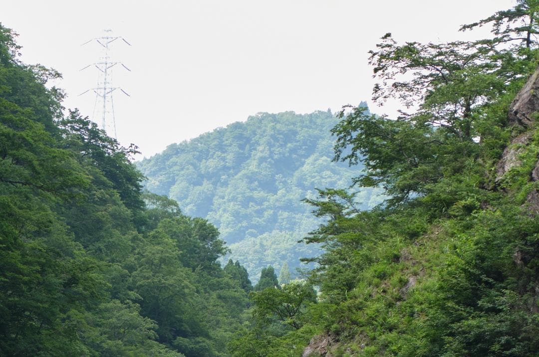 【美品】Mamiya Sekor 80mm F2.8 N