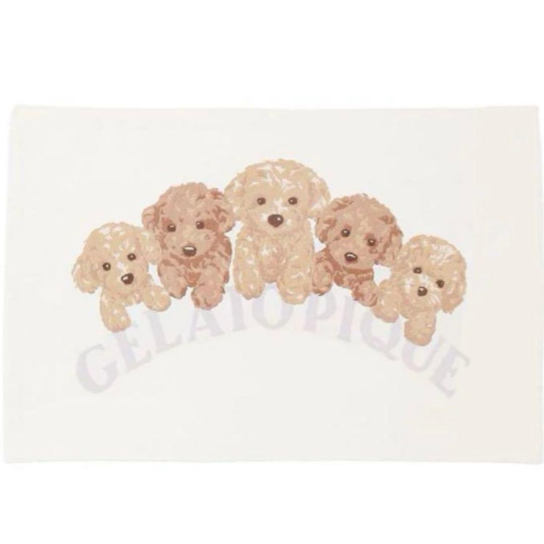 geato pique ジェラートピケ　トイプードル　ジャガード　ブランケット