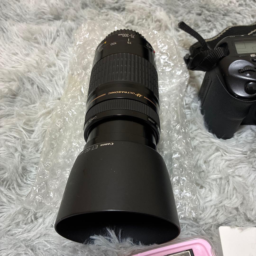 Canon EOS 10D デジタル一眼レフカメラ