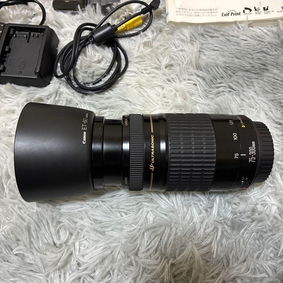 Canon EOS 10D デジタル一眼レフカメラ