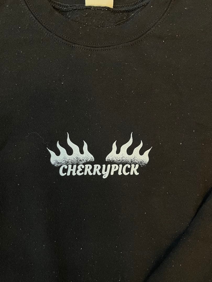 【希XL】CHERRY PICK \"T3\" スウェット 青 寅年 干支 タイガー