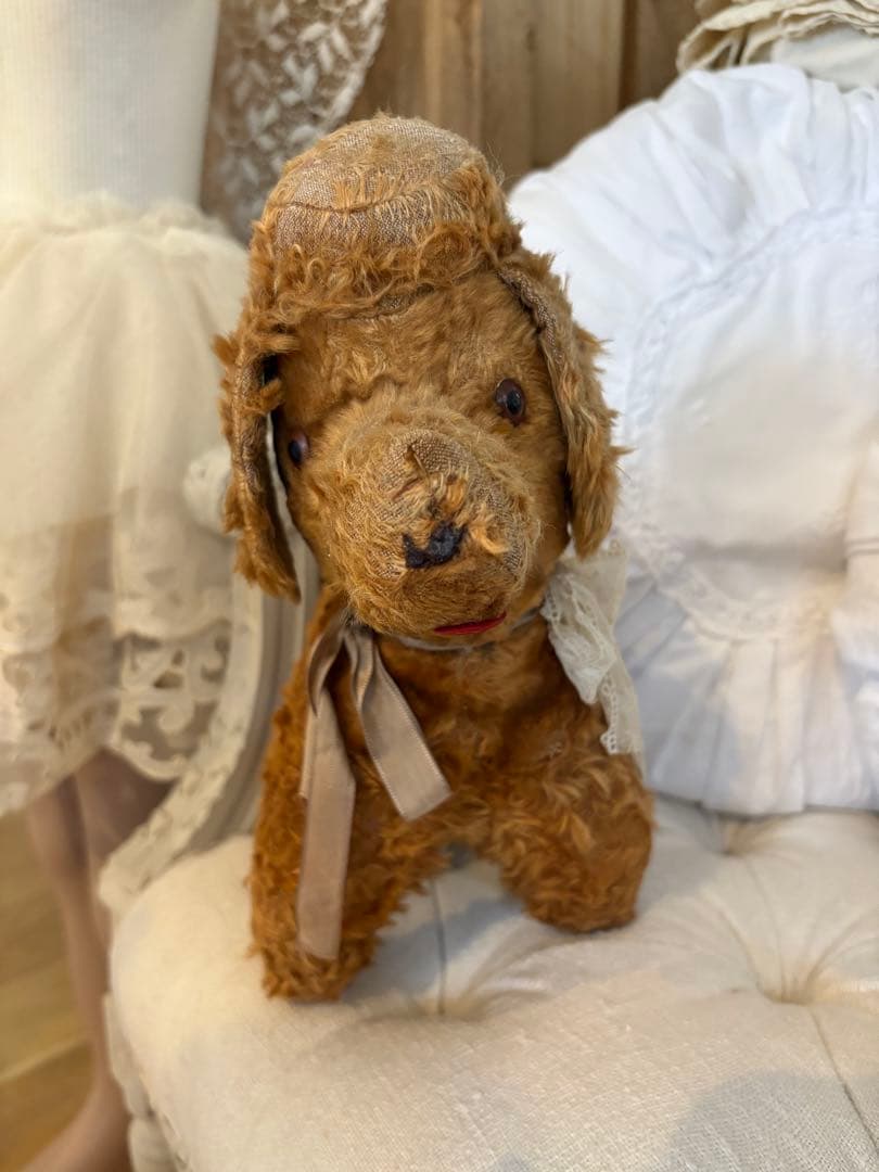 フランスアンティーク 犬 アンティークテディベア アンティークベア