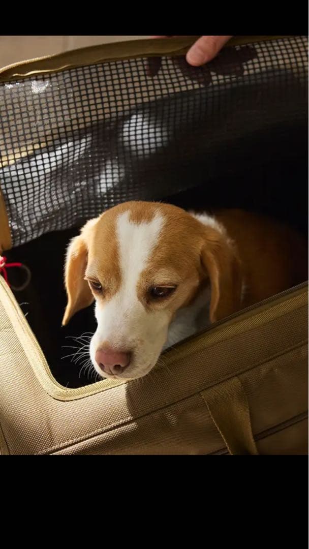 BRIXTON CARRY BACKPACK ブリクストンキャリーバックパック