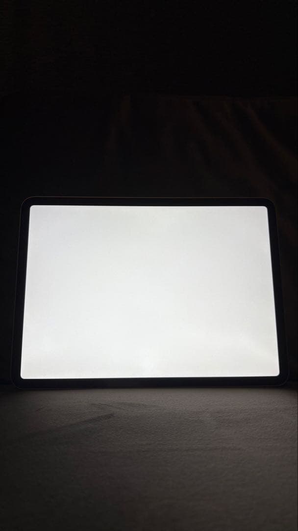 Apple iPad Pro 11inch 第2世代 純正マジックキーボード付き