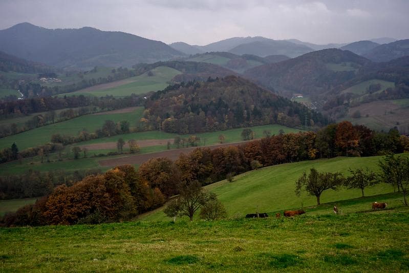 32　新品同様【分解洗浄済】後期型　ジュピター 8 　2/50 L39