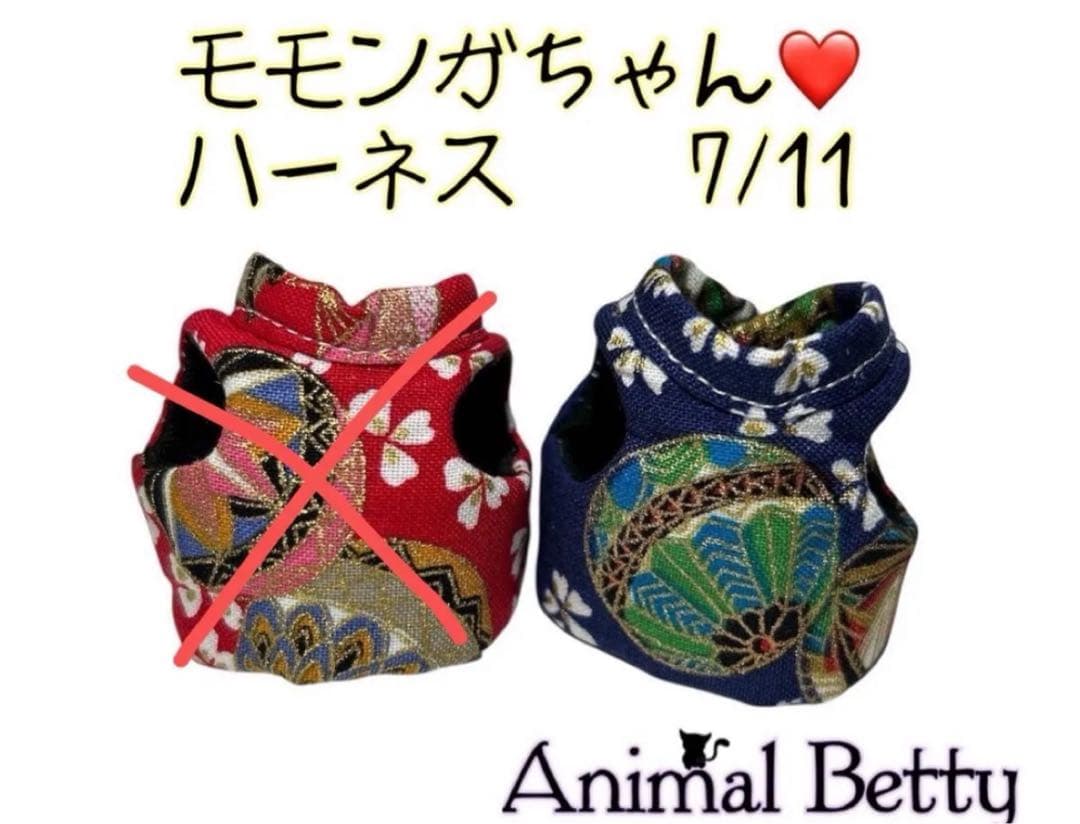 モモンガハーネスオーダー受付中