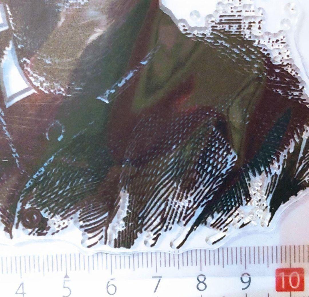 (101)【海外製 】クリアスタンプ ヴィンテージ 紳士 肖像画