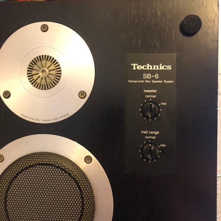 迫力ある❗️❗️Technics SB-6(2本)