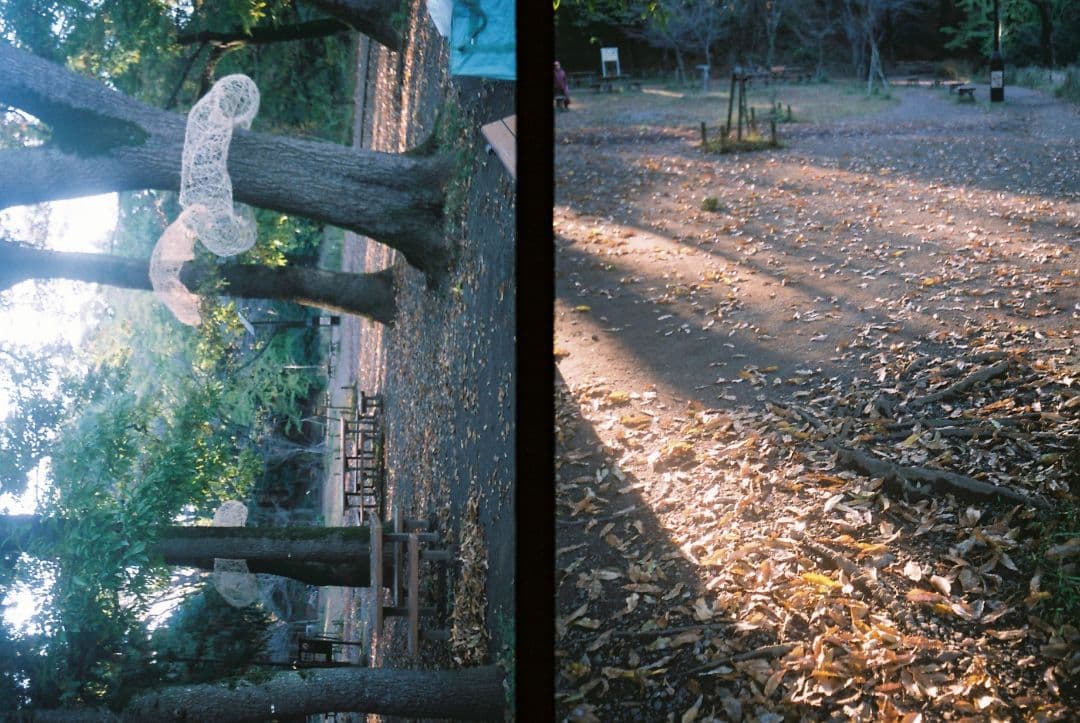 フィルムカメラ OLYMPUS PEN EE-2