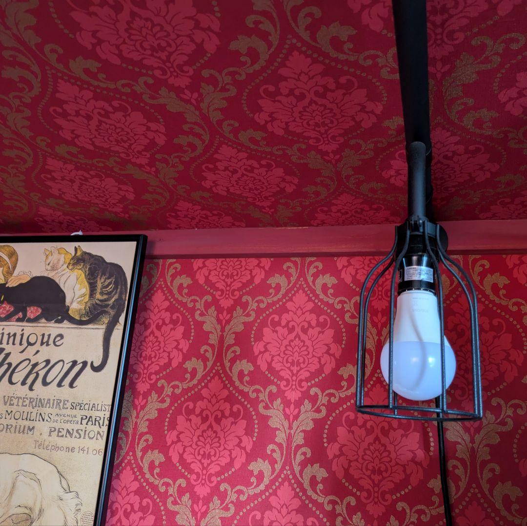 【新品未使用】ドローアライン テンションロッド B＋ランプ B