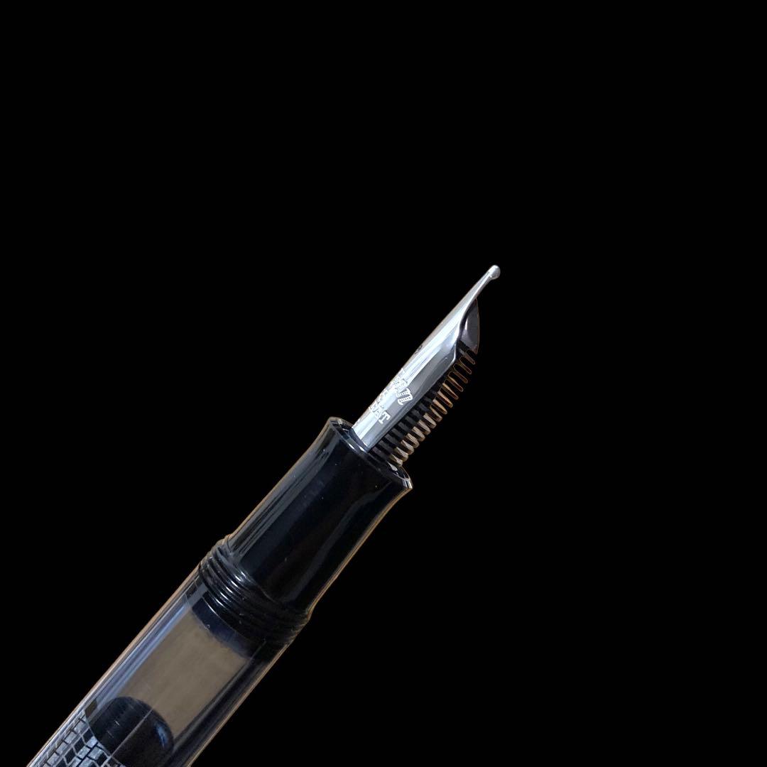 希少【付属品多数/国内限定800本】ペリカン M101N リザード 万年筆