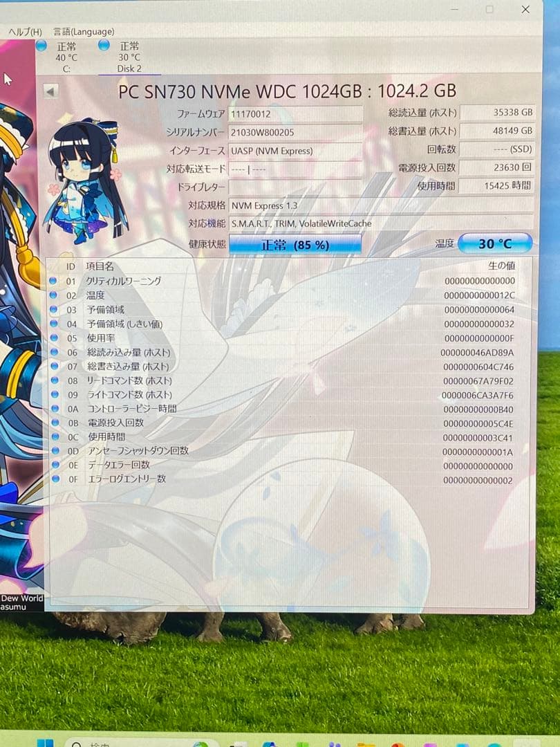 内蔵型SSD Western Digital SN730 1024GB NVMe SSD