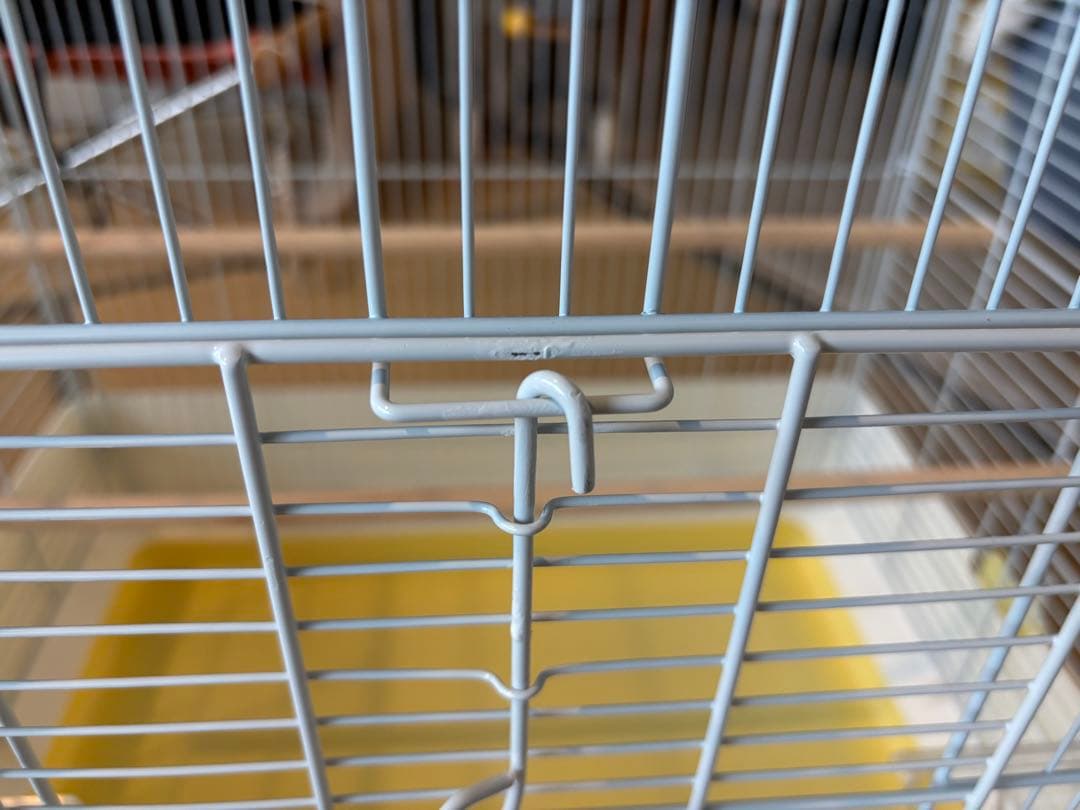 うずら★SANKO 三晃商会 イージーホーム　バード　60-YE（手乗り）