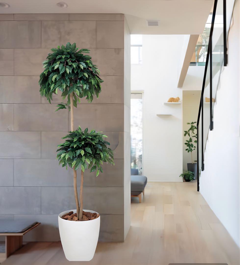 光触媒　人工観葉植物　フェイクグリーン　ベンジャミンダブル 1.8m