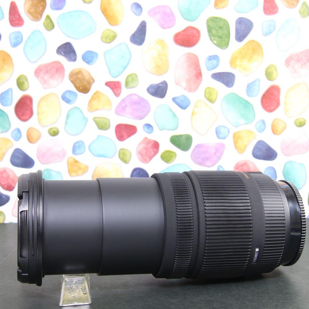 ♥︎◇近くから遠くまでこれ一本♪ SIGMA 18-250mm OS SONY
