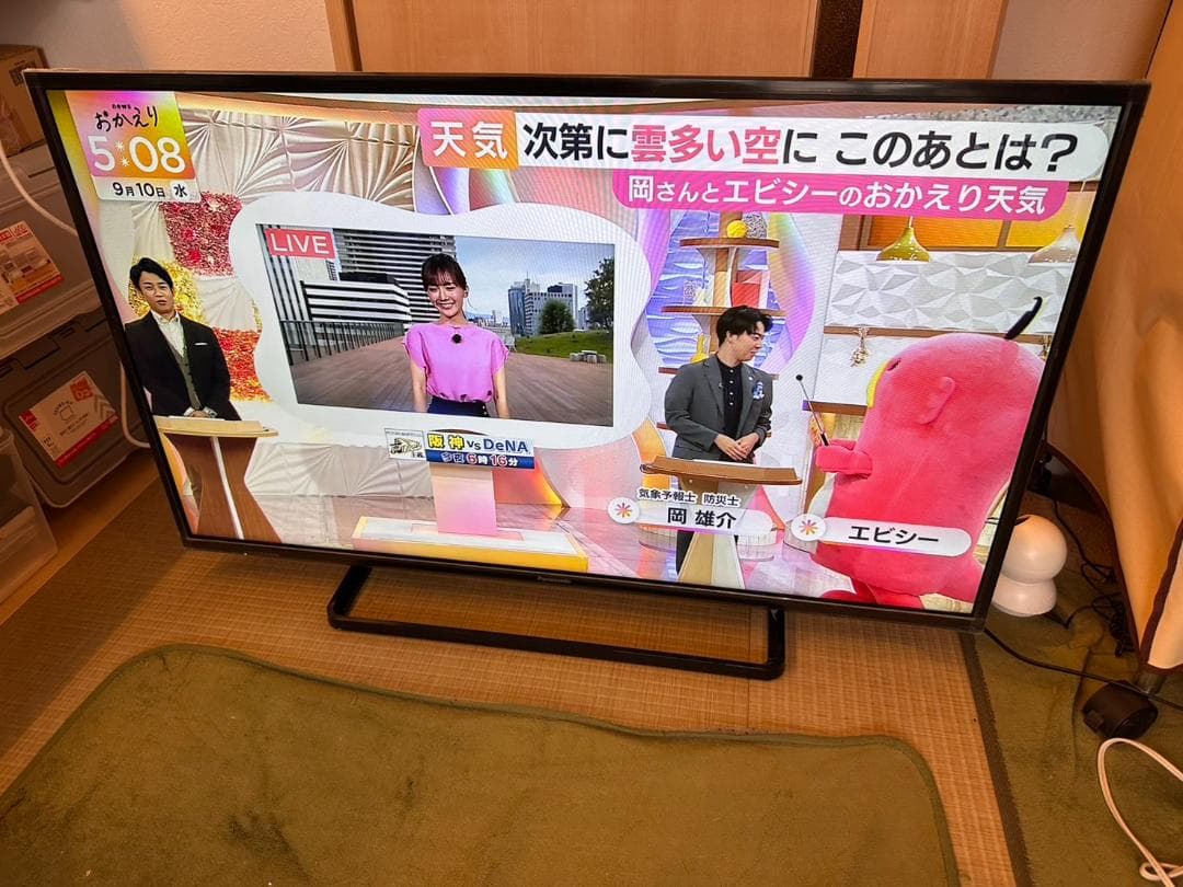 超美品！Panasonic　パナソニック 42型 テレビ TH-42C300