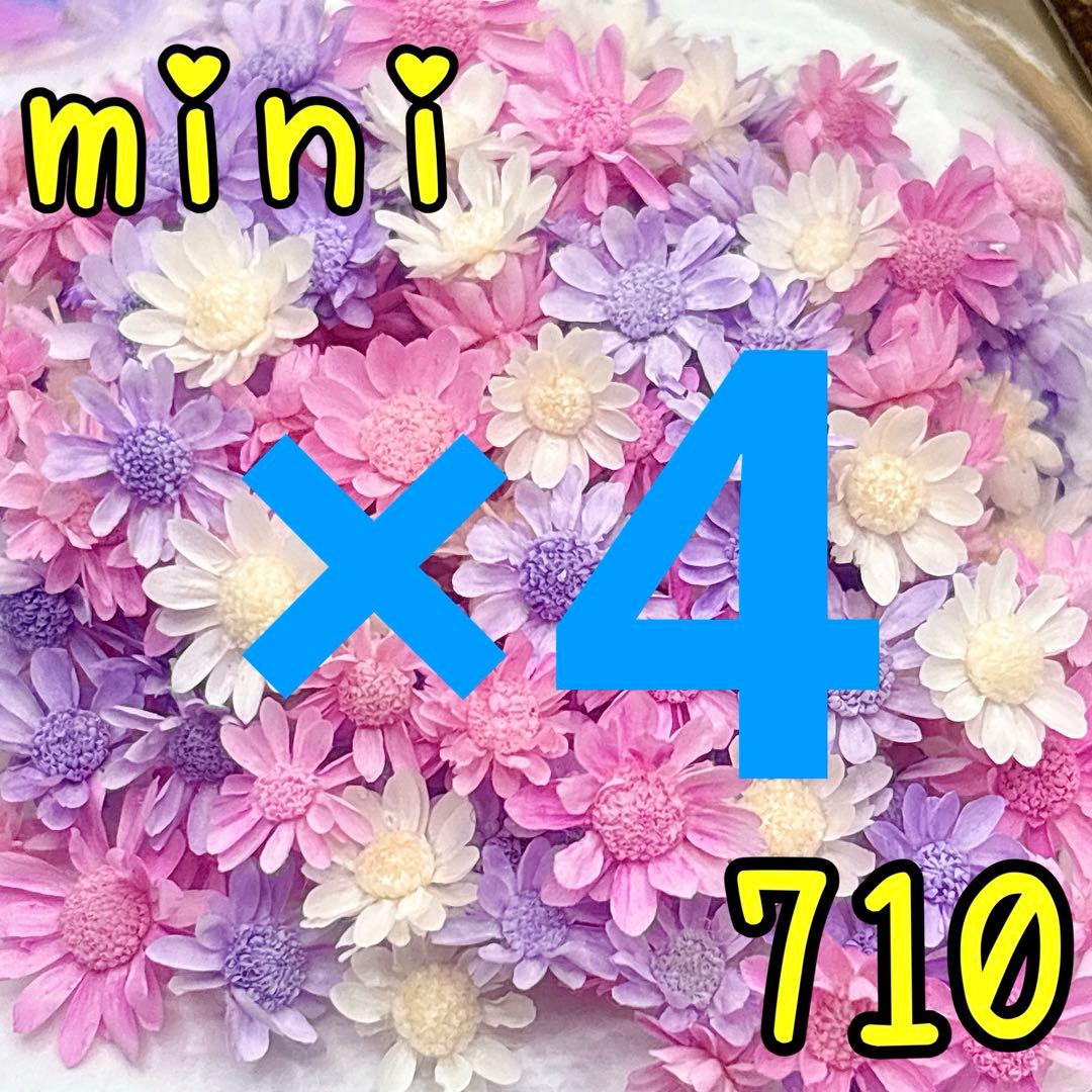 m-happyページ✩.*˚