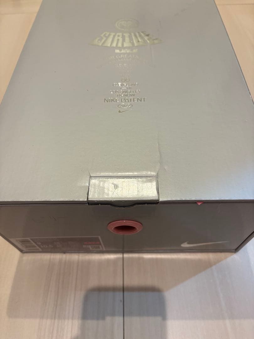 シューズ(男性用) NIKE LEBRON 20 South beast 27cm us9