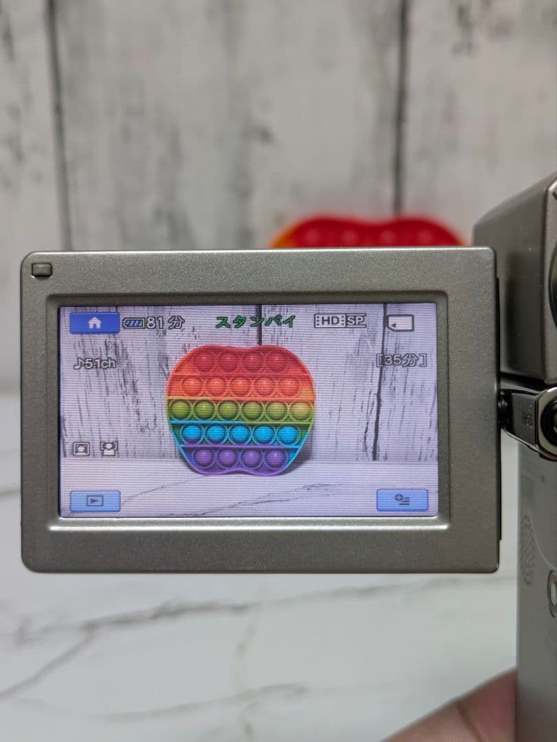 SONY　HDR-TG1