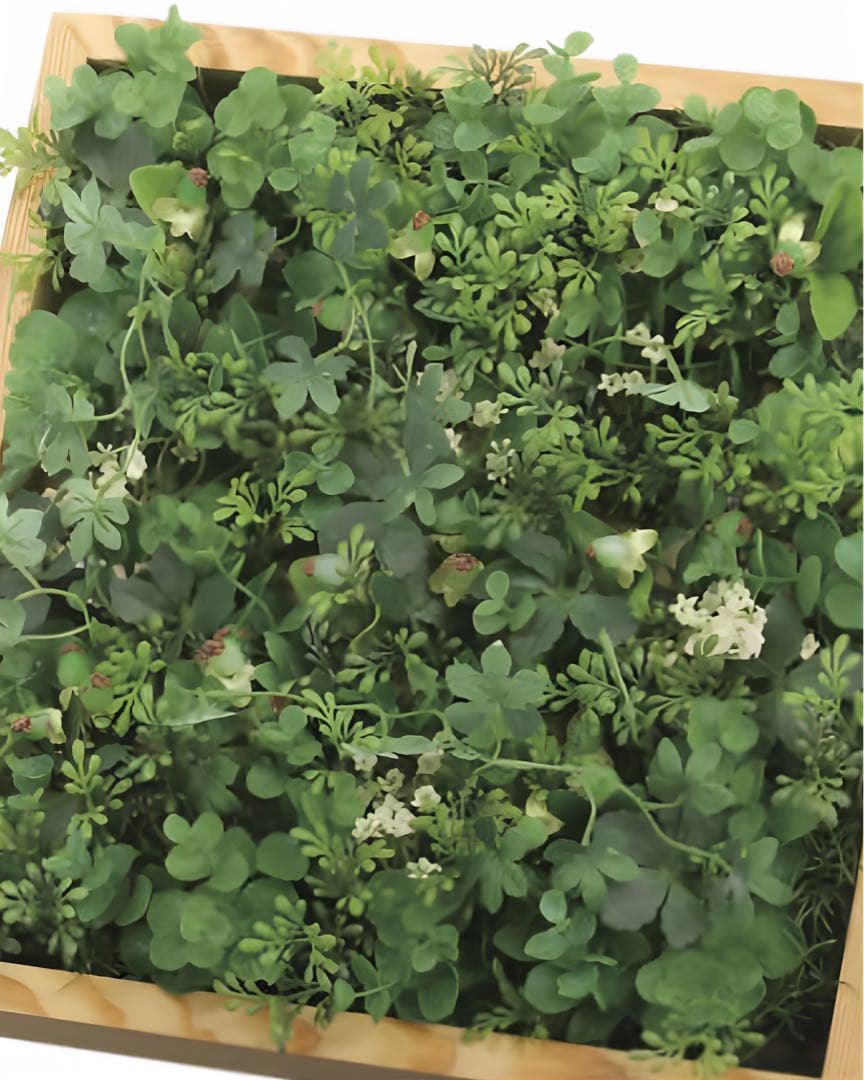 光触媒　人工観葉植物　ウォールグリーン　フェイクグリーン　壁掛けウッドボックス
