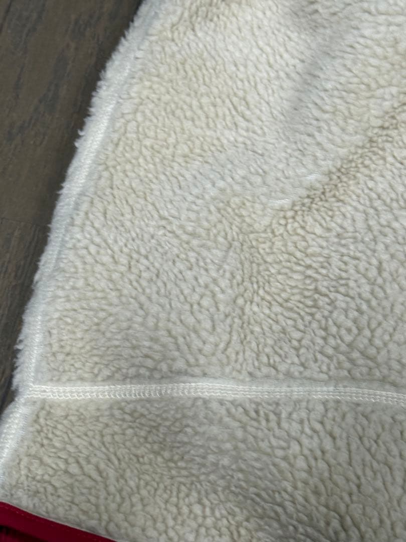 Patagonia クラシック レトロX フリースベスト メンズ Mサイズ