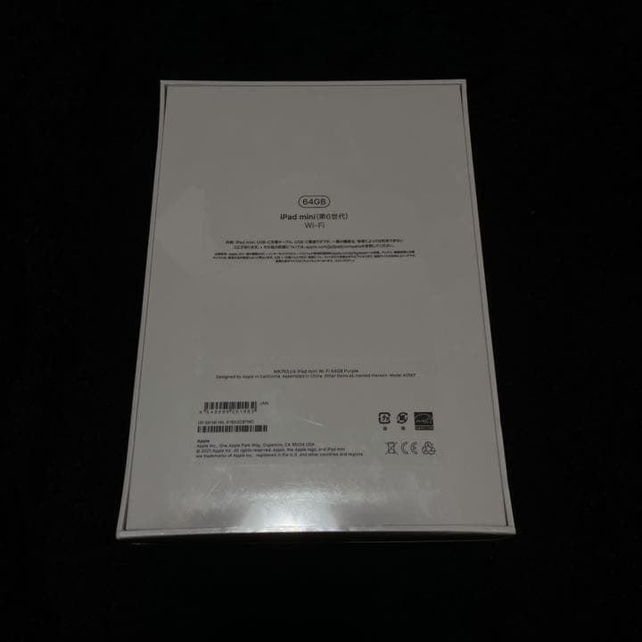 iPad mini6 パープル