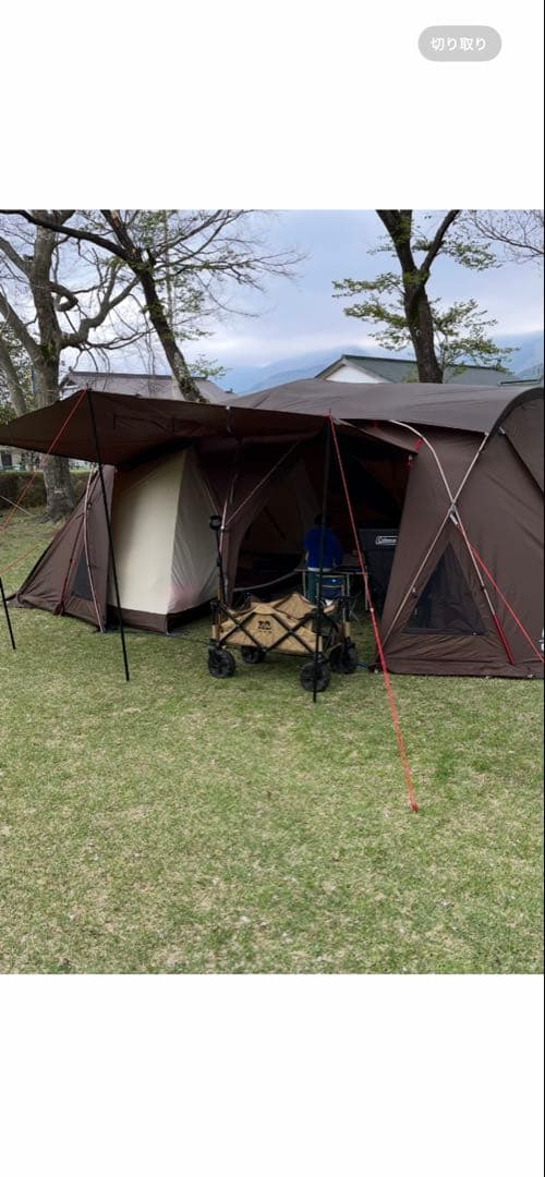 コールマン クーン 2024 リミテッド