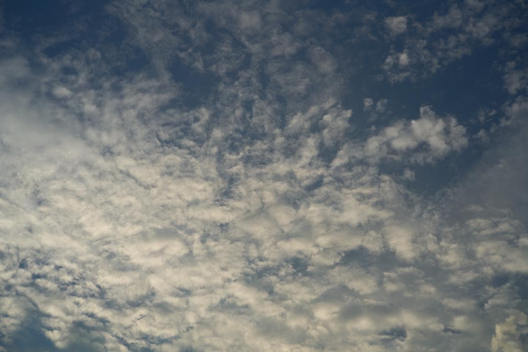 Leica Summicron 5cm F2 沈胴式 Mマウント