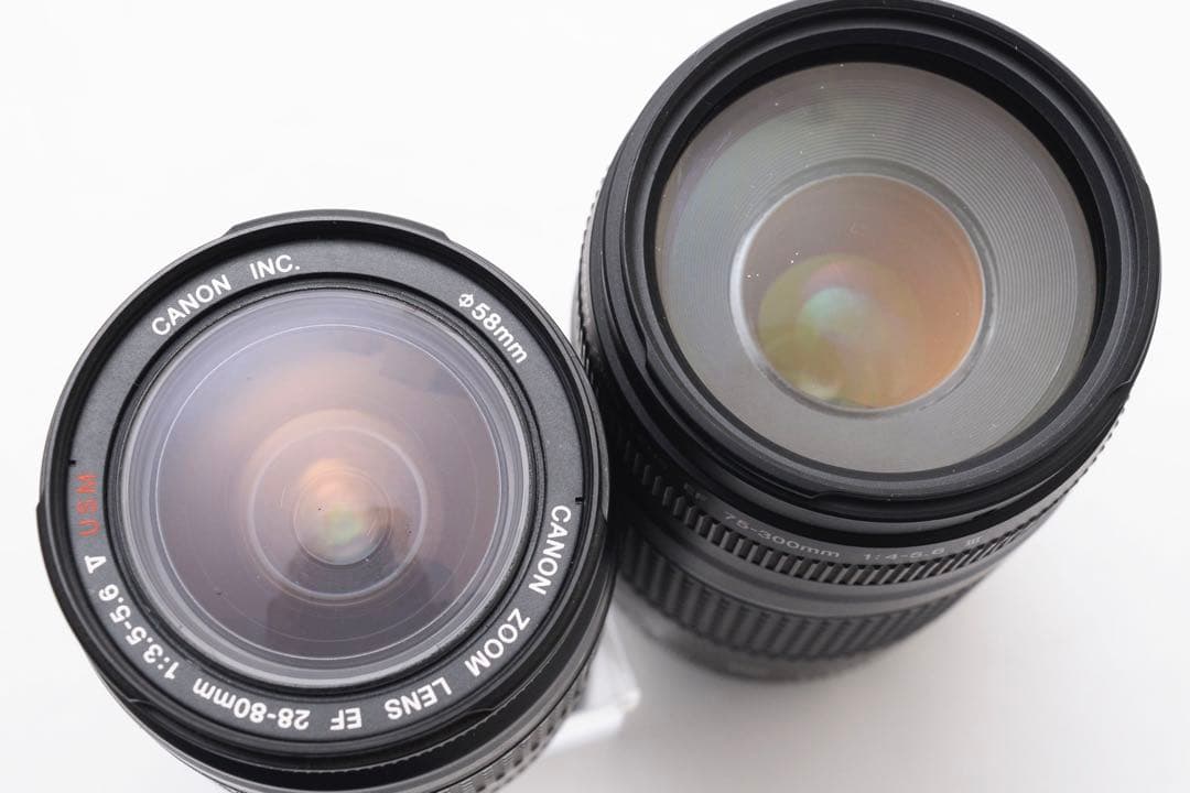 一眼レフカメラCanon EOS 5D MarkIV標準&望遠ダブルレンズセット