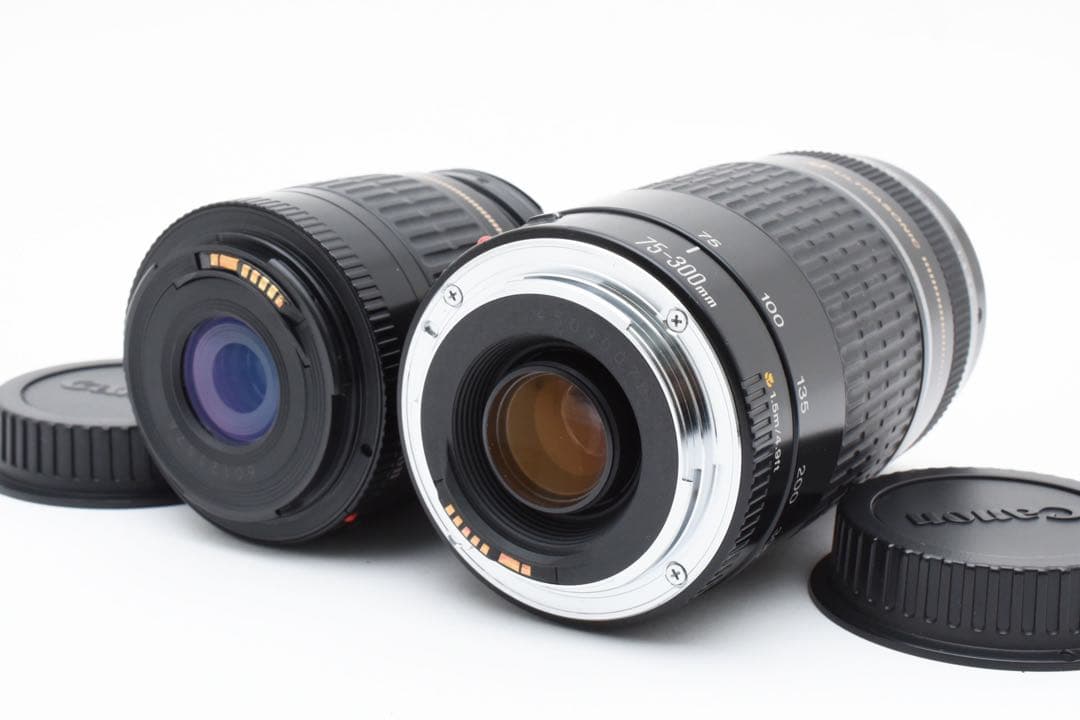 Canon EOS 6D Mark II標準&望遠ダブルレンズセット