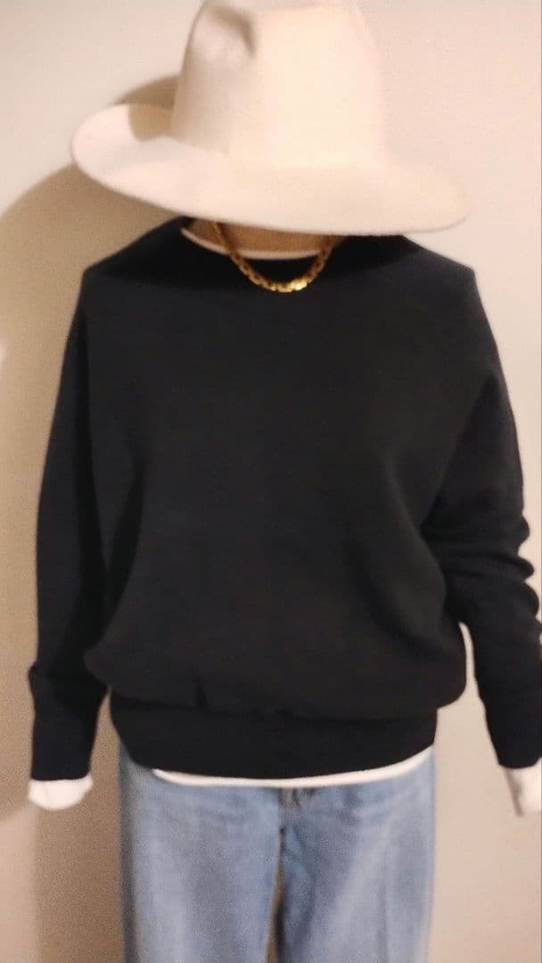 アロー様 C6920 VERMEIL IENA　オーバースウェット