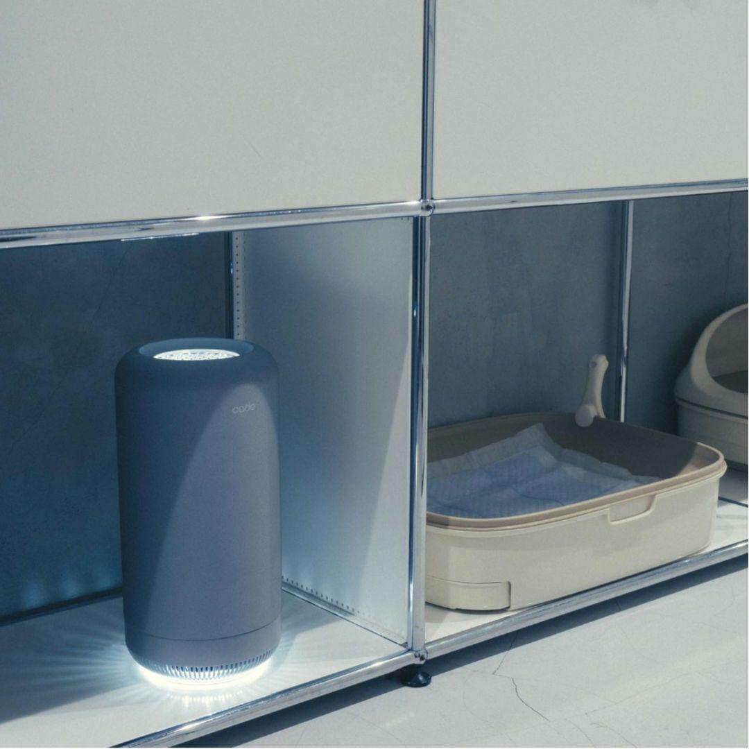 cado SAP 003 脱臭機 ホワイト 脱臭機 空気清浄機 オゾン脱臭器