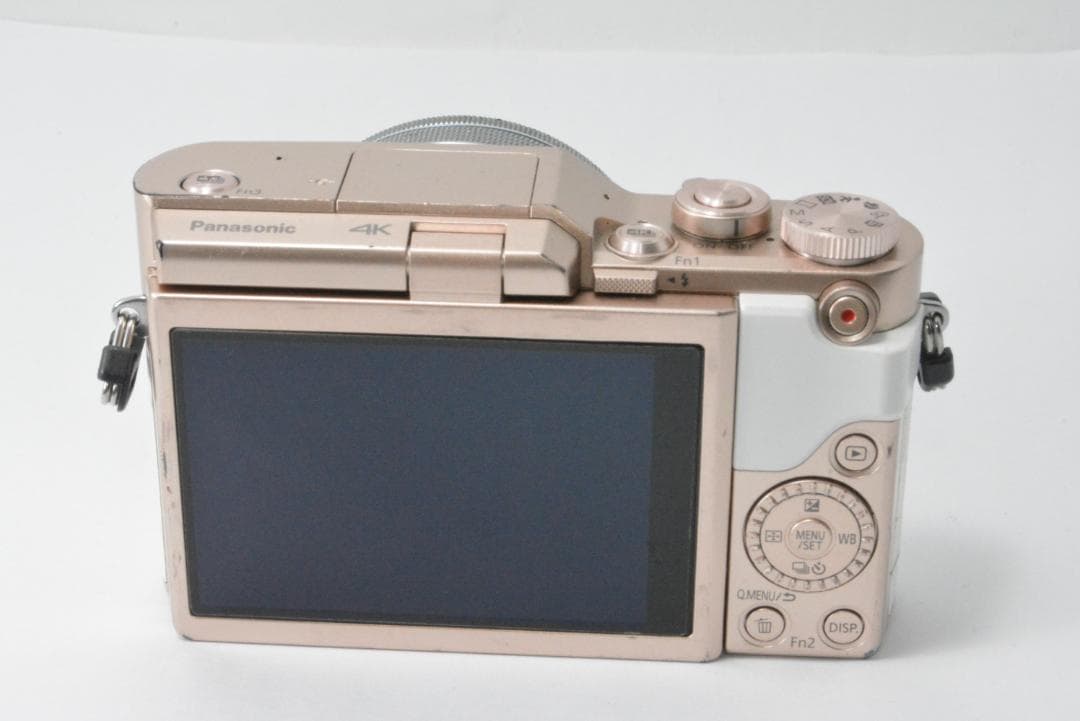 デジタルカメラ PANASONIC DC-GF10 14-42mm