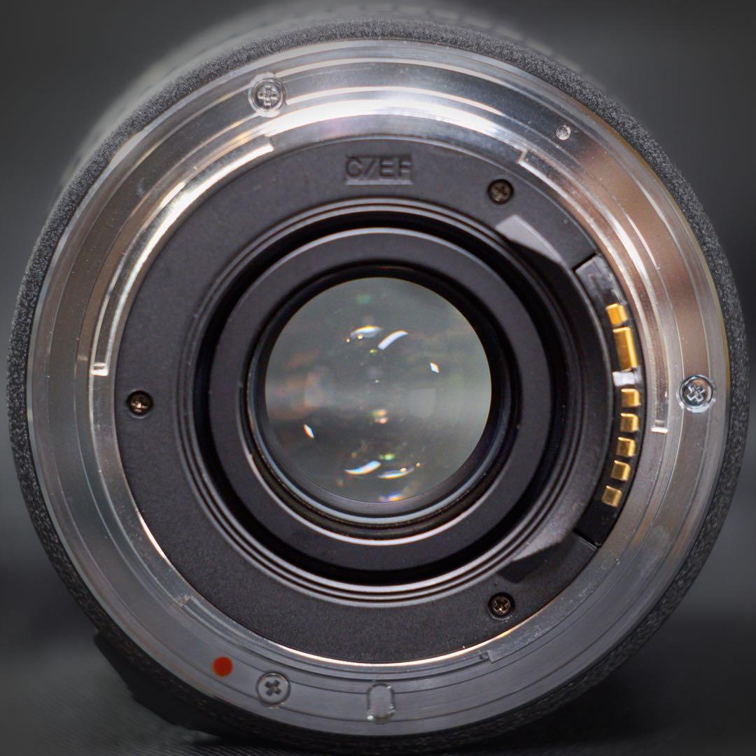 Tokina トキナー AT-X PRO 28-70mm 287 f/2.8