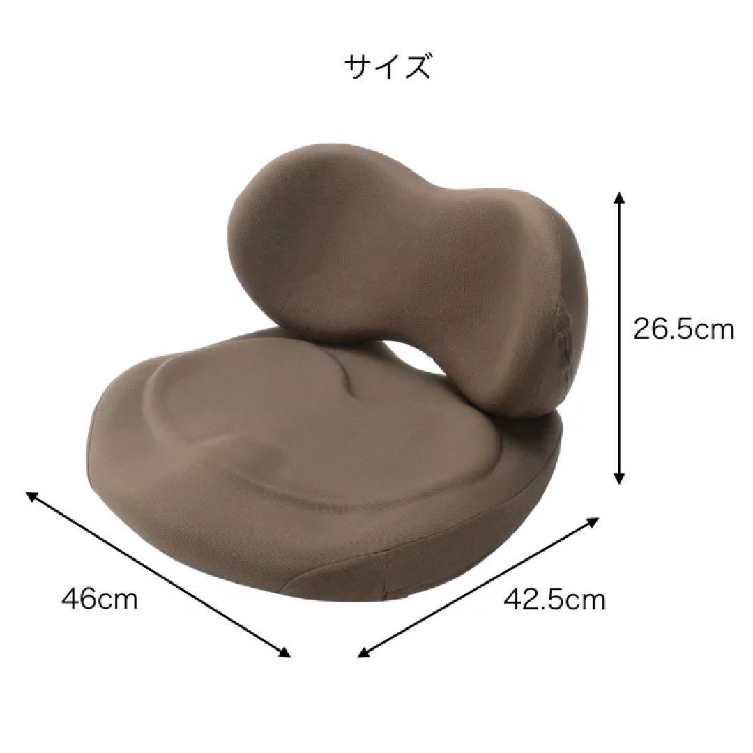 最短即日発送可能【超美品】EXGEL ハグカンフィプレミアム HUG01