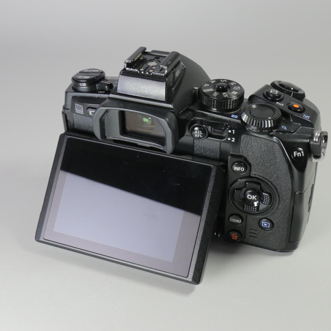 ☆良品☆ショット12,815回　OLYMPUS OM-D E-M1 ＃249