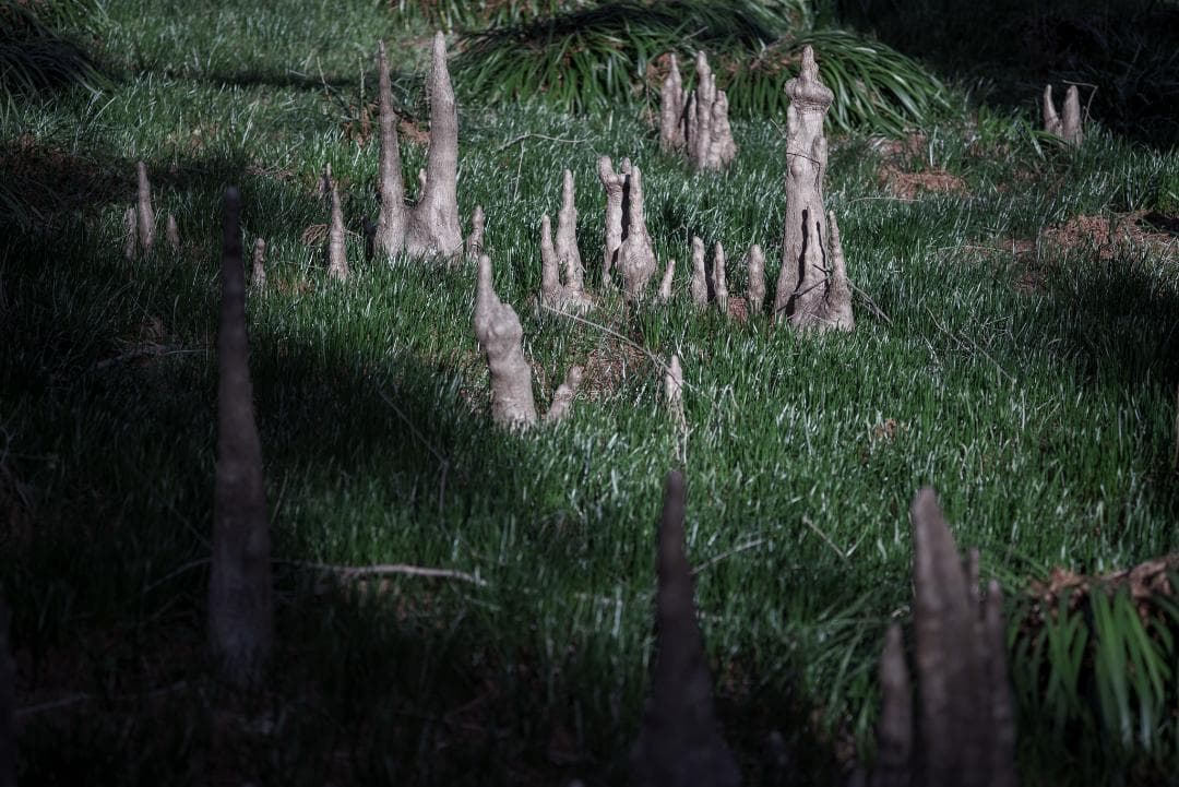 良品！CONTAX屈指の解像！SONNAR 85mm AEG オールドレンズ